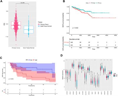 Identification of Ferroptosis-Associated Genes in Prostate Cancer by Bioinformatics Analysis